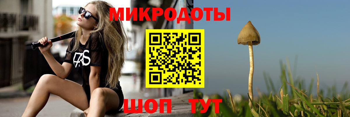 Псилоцибиновые грибы мицелий  Вход с VPN  Черкесск  Галлюциногенные грибы MAGIC MUSHROOMS 